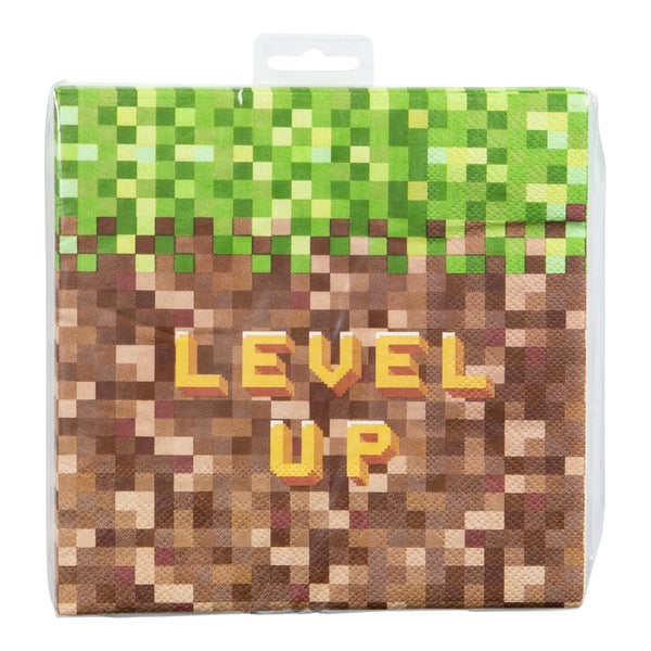 Level Up servetit